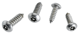 4 Sicherheitsschrauben - Torx-20