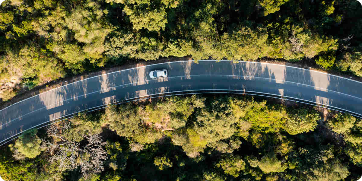 Fotografie eines Autos auf einer Landstraße zwischen grünen Wäldern.