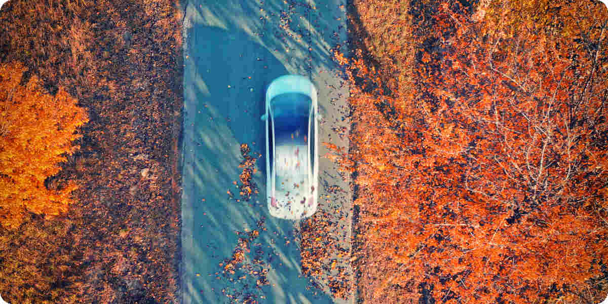 Autofahrt durch eine Alle im Herbst.