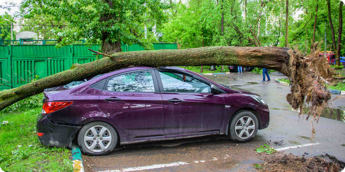 Ein Baum fiel durch einen Sturm auf ein Auto und verursacht einen Schaden.