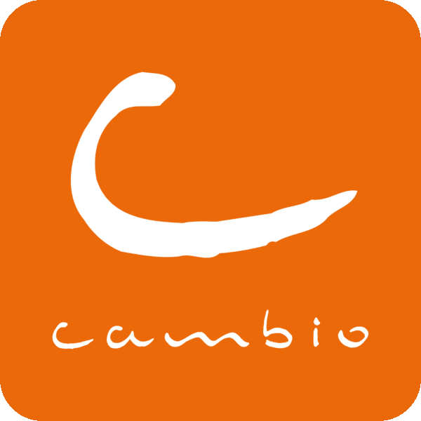 Cambio Logo.