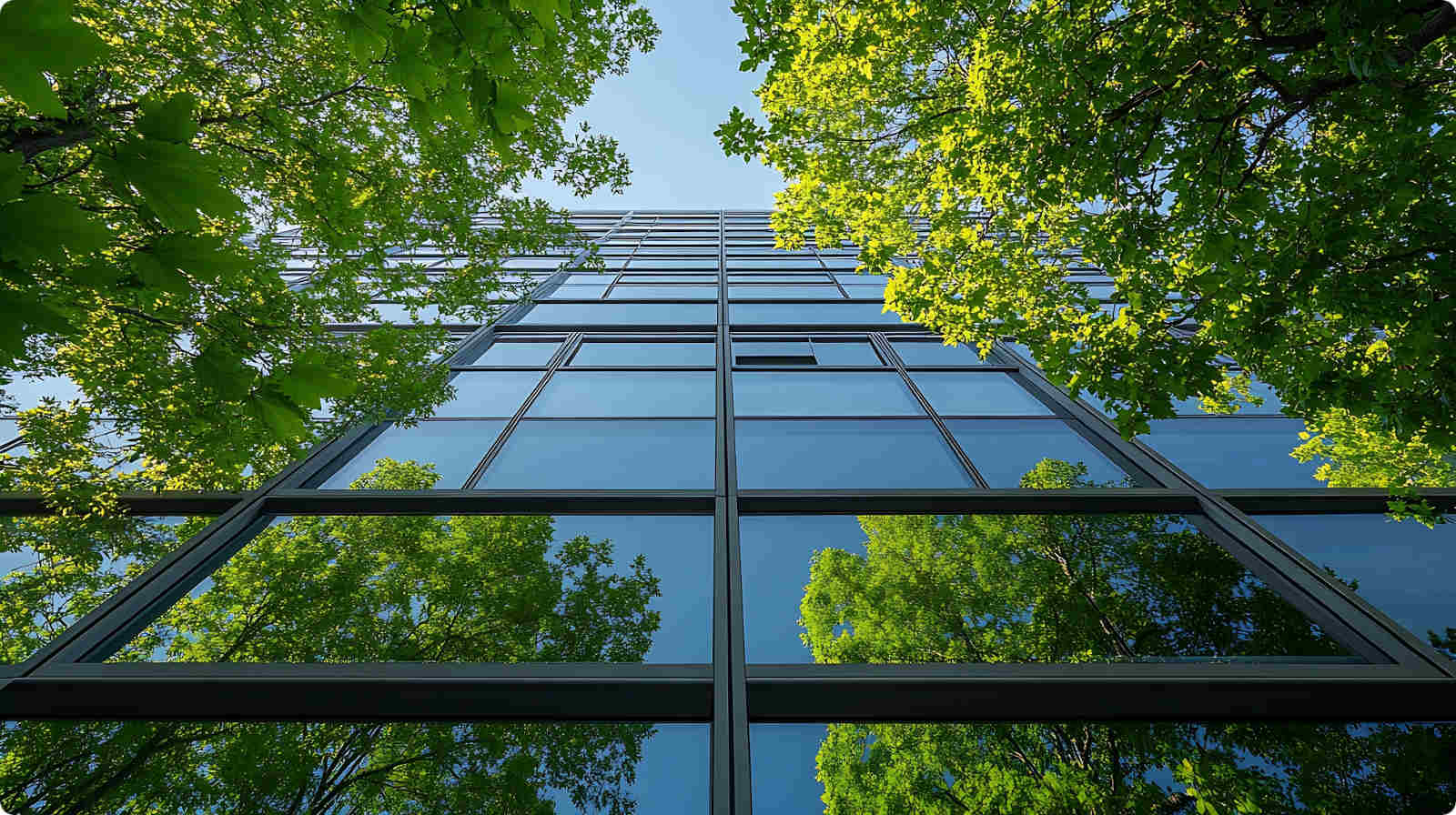 Bäume spiegeln sich an den Fenstern eines Bürogebäudes.